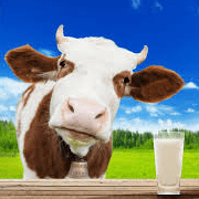 Origem do leite obrigatória nos rótulos
