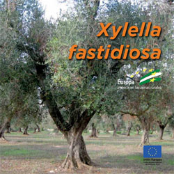 Xylella fastidiosa