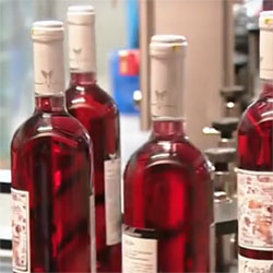 rosé espanhol vendido como vinho francês
