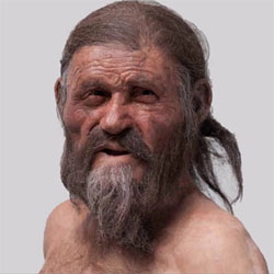 a última refeição de Ötzi a última refeição de Ötzi
