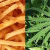 Pesquisa descobre que batata frita e cannabis libertam no organismo a mesma substância