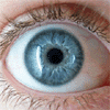 Consumo em excesso de sal causa danos aos olhos e à tiroide Consumo em excesso de sal causa danos aos olhos e à tiroide