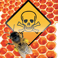 Pesticida que mata abelhas