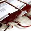 E. coli: Portugal tem reserva estratégica de sangue