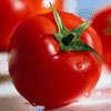 Comer um tomate por dia diminui o colesterol