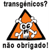 Transgénicos são mal vistos pelos portugueses