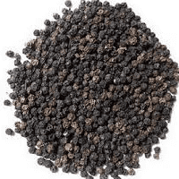 Micotoxina em pimenta preta